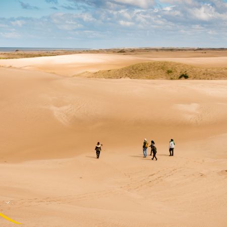 Reserva Natural Faro Querandí